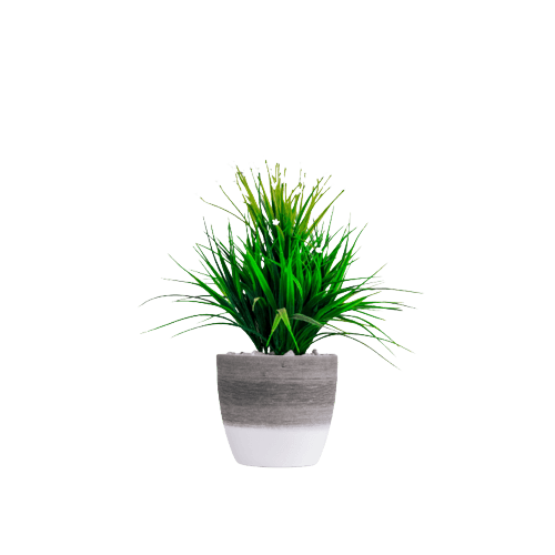 Grass Pot 15.5 inch
